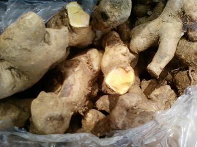 หัวไพลสด/ แห้งอีกราคา